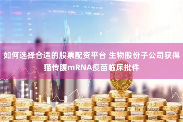 如何选择合适的股票配资平台 生物股份子公司获得猫传腹mRNA疫苗临床批件